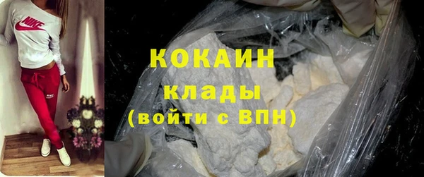 бошки Алексин