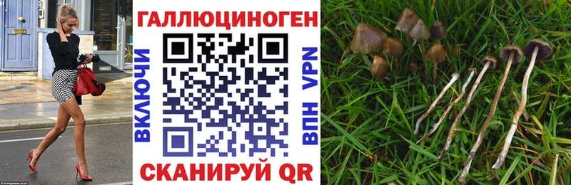 Галлюциногенные грибы MAGIC MUSHROOMS  как найти   Фатеж 